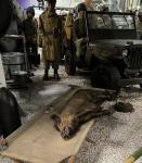 Klicken zum ansehen img-20250316-wa0004_t1_1.jpg